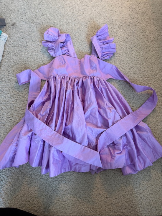 Vici Dresses & Skirts - Vici Lilac Ruffle Dress with Sash
